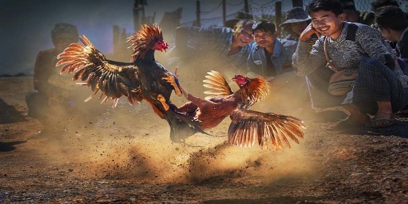 Những điểm thú vị để người chơi lựa chọn bộ môn này