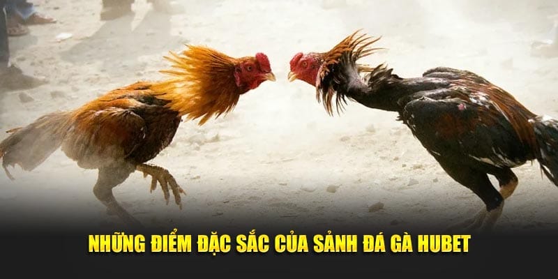 Trải nghiệm đá gà trực tiếp sắc nét, kịch tính cùng nhà cái